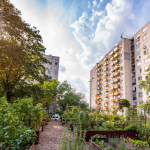 The Vénkert Community Garden has once again become the most beautiful kitchen garden in Hungary