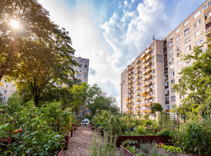 The Vénkert Community Garden has once again become the most beautiful kitchen garden in Hungary