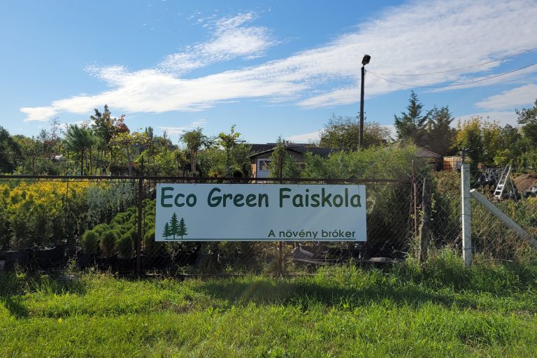 eco green 768x512