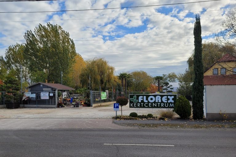 florex 768x512