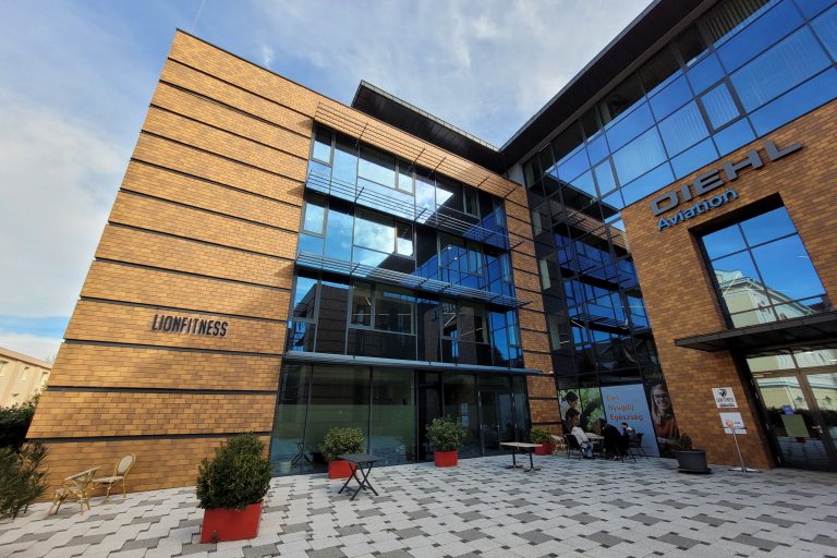 lion fitness 768x512