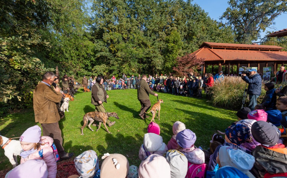 All roads lead to the Great Forest: this is how the celebration of nature unfolded in Debrecen