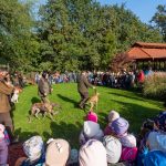 All roads lead to the Great Forest: this is how the celebration of nature unfolded in Debrecen