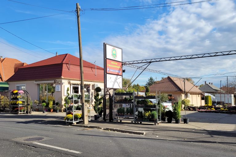 szepesi gardening 768x512