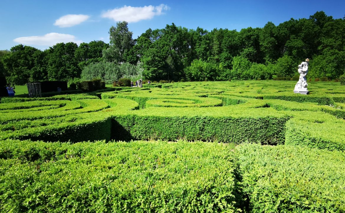 Castle park one hour from Debrecen undergoes large-scale renewal