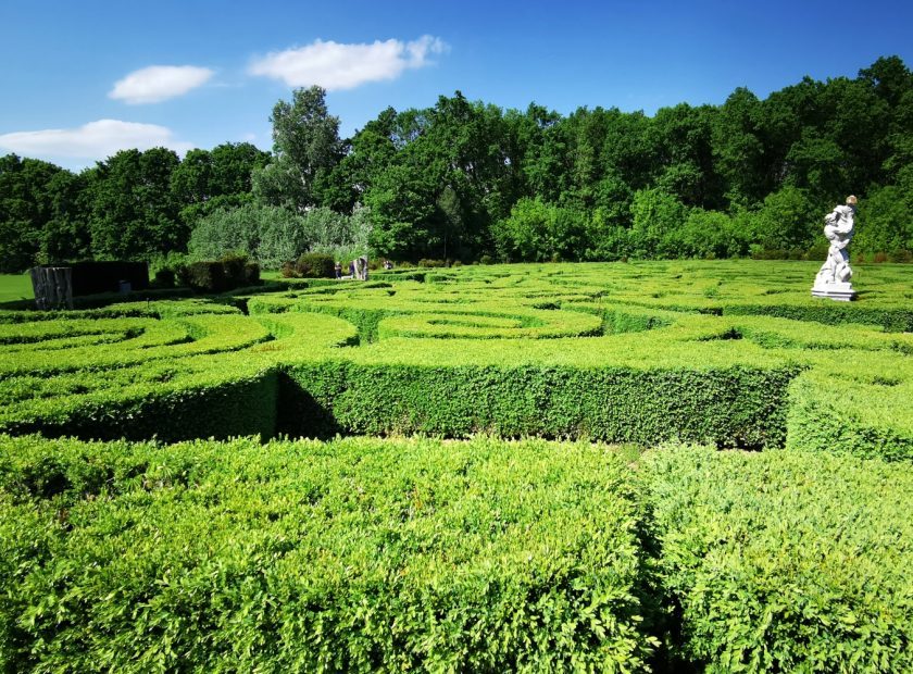 Castle park one hour from Debrecen undergoes large-scale renewal