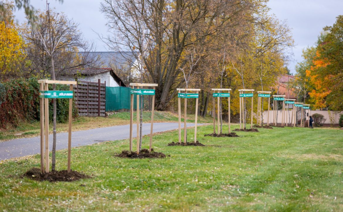 Community tree planting in Pallag