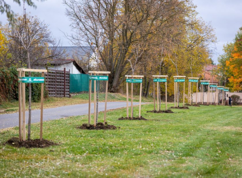 Community tree planting in Pallag