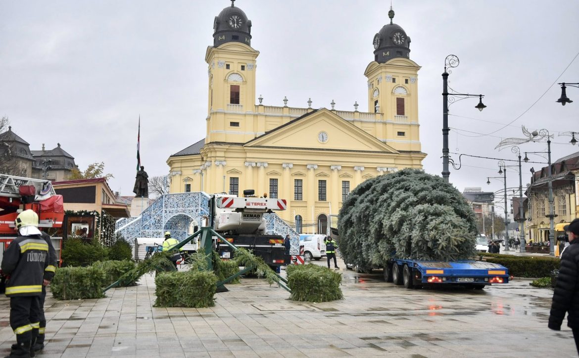 Debrecen Christmas tree was set up in Debrecen’s main square 2025