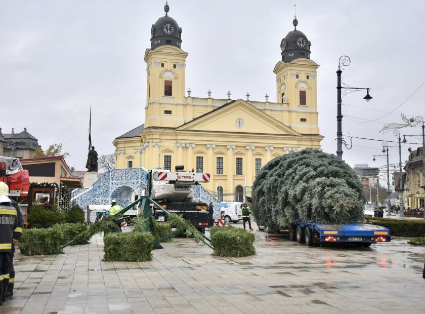 Debrecen Christmas tree was set up in Debrecen’s main square 2025