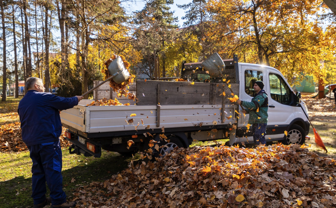 Leaf collection Debrecen