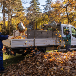 The municipality manages the removal of green waste from October until the end of the year