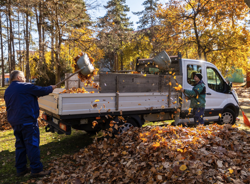 Leaf collection Debrecen