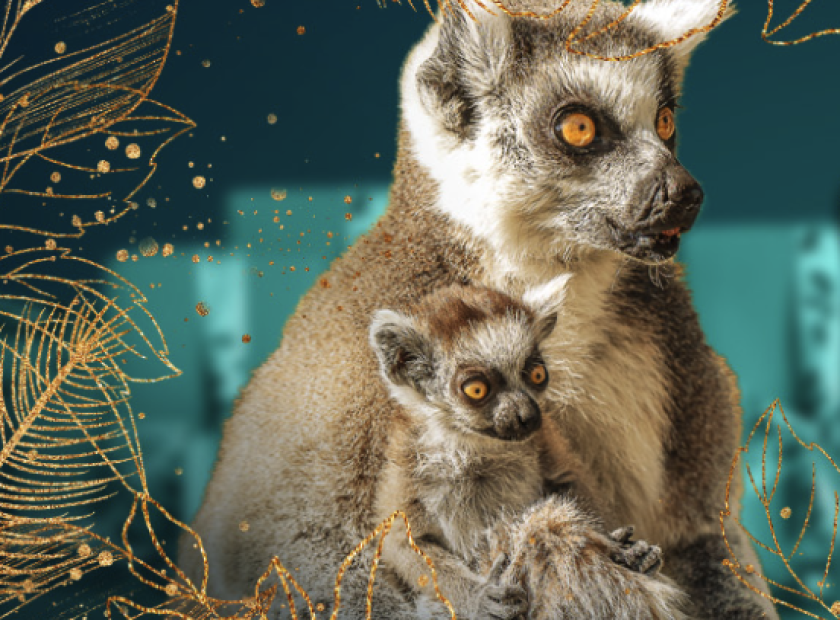 Screenshot 2025-11-21 at 15.58.49