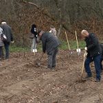 Seven thousand native saplings will be planted on one-hectare in the Great Forest