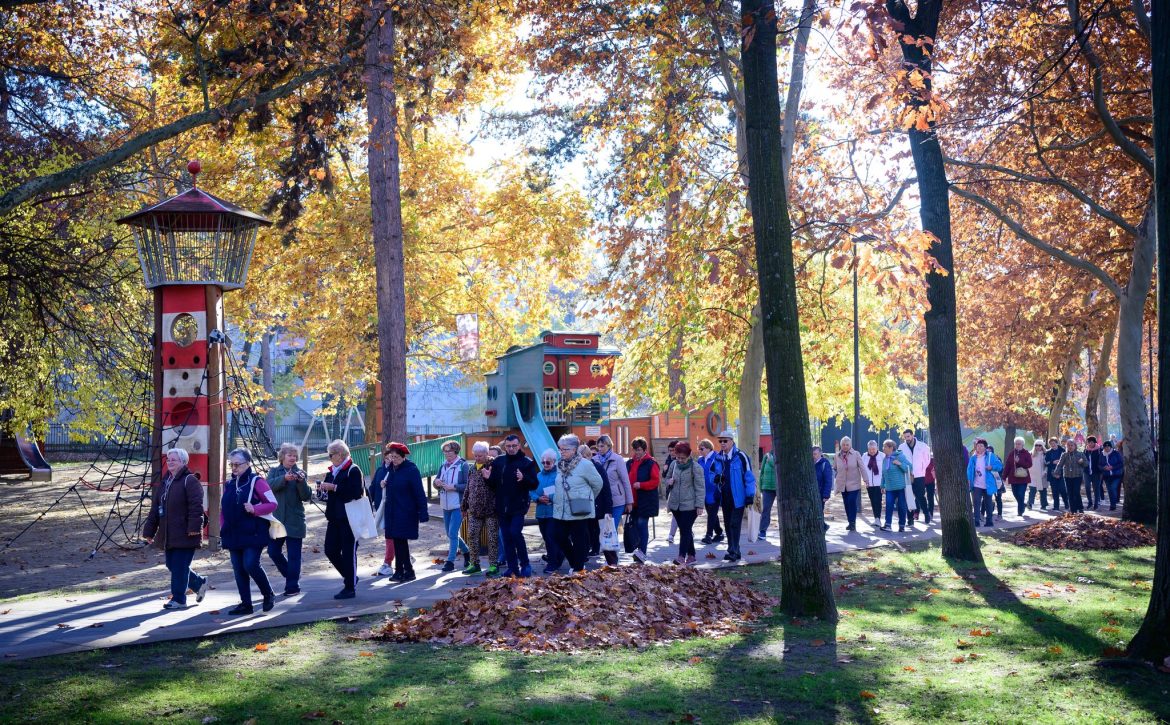 The Move, Debrecen! initiative marks its fourth anniversary