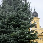 The city’s Christmas tree was set up in Debrecen’s main square