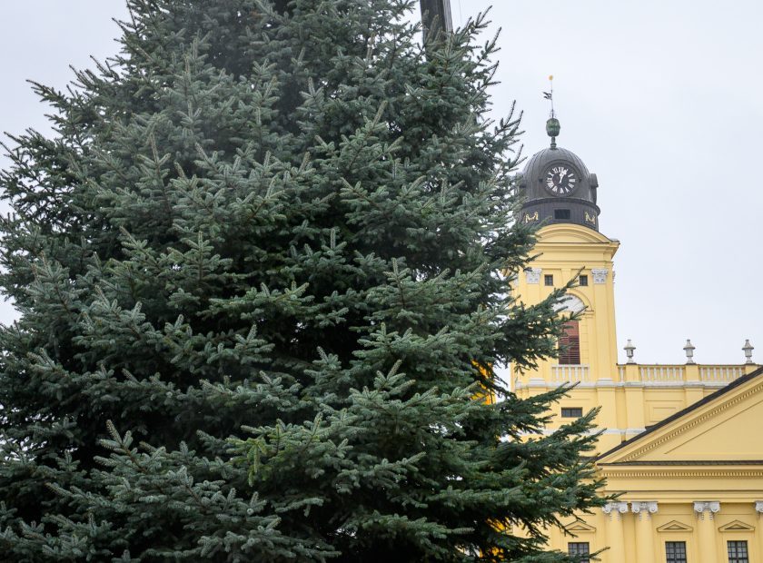 The city’s Christmas tree was set up in Debrecen’s main square