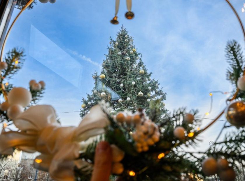 karacsonyfa_2024_ksz_1