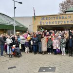Advent experience program, "Splash with Santa!" was held for large families in Debrecen
