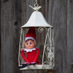 Playful elves are making their way back to Debrecen’s city center