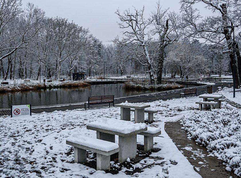 191204havasnagyerdo_ksz_23