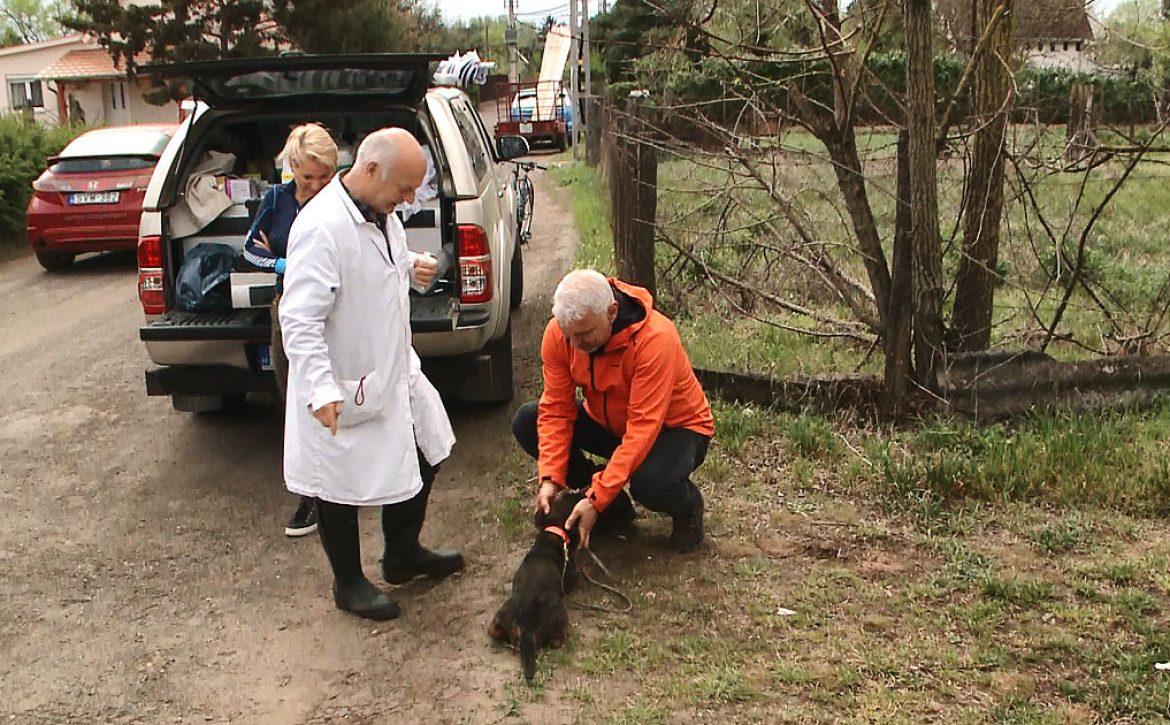 New Animal Protection Programs Are Starting in Debrecen