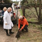 New Animal Protection Programs Are Starting in Debrecen