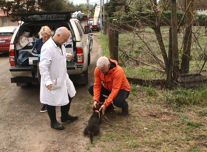 New Animal Protection Programs Are Starting in Debrecen