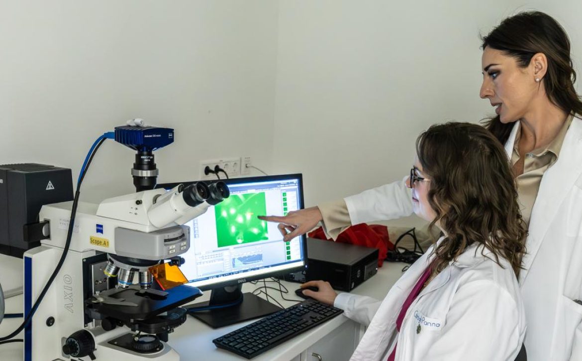 A Debrecen-Based Research Project Has Also Reached the Finals