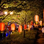 Lantern Festival