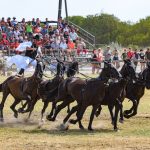Hortobágy Equestrian Days