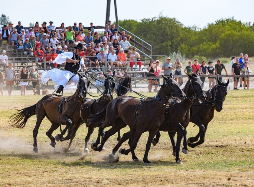 Hortobágy Equestrian Days