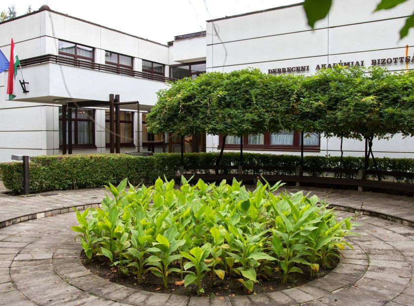 A Remarkable New Exhibition at DAB SzÃĐkhÃĄz