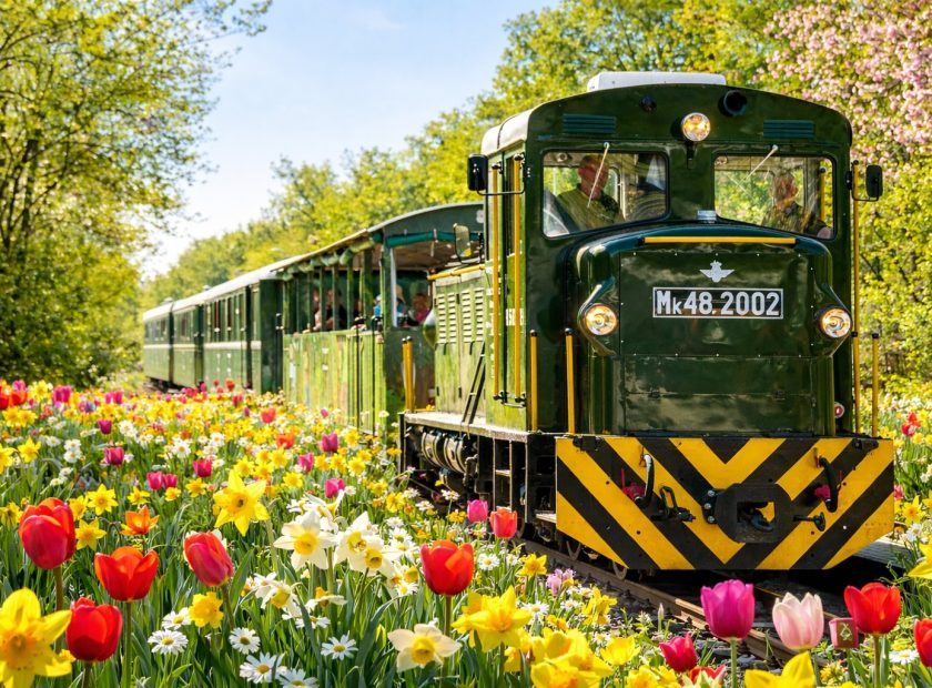Spring Express