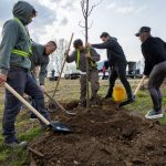 Afforestation Programme Continues in Debrecen