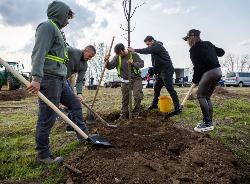 Afforestation Programme Continues in Debrecen