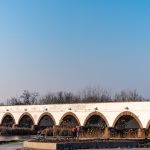 Aquatic Warbler Rediscovered in Hortobágy After 14 Years