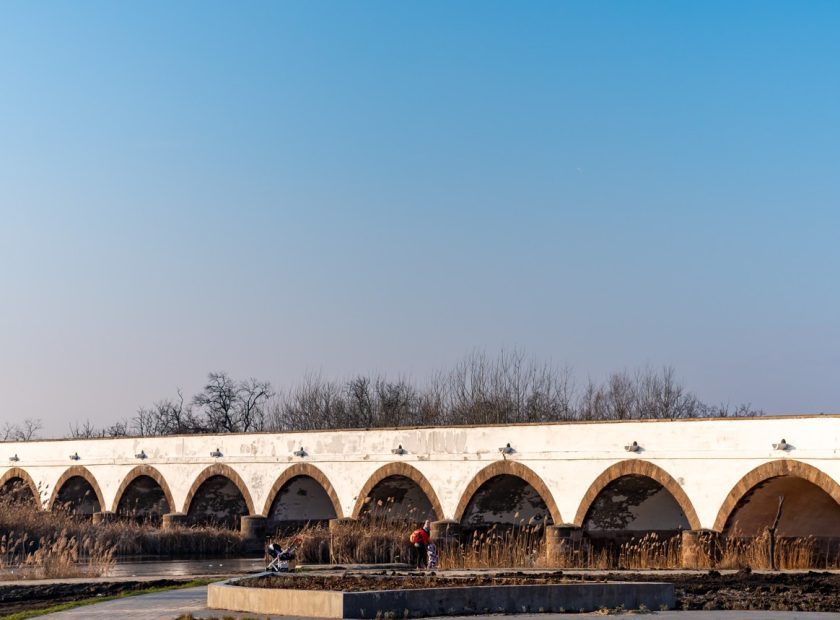 Aquatic Warbler Rediscovered in Hortobágy After 14 Years