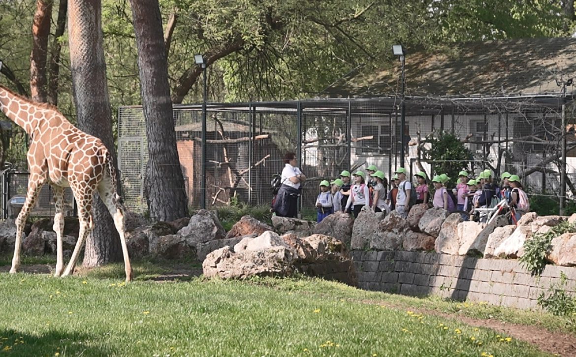 “Nearly 500 Students Learn Responsible Animal Care at Debrecen Zoo  “