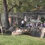 Nearly 500 Students Learn Responsible Animal Care at Zoo Debrecen