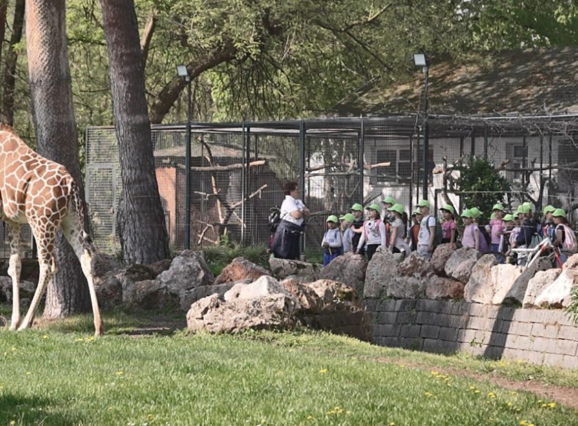 “Nearly 500 Students Learn Responsible Animal Care at Debrecen Zoo  “