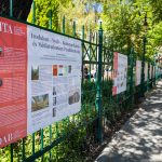 Science Brought to the Streets of Debrecen: Exhibition opens on Hungarian Academy of Sciences' Regional Presence