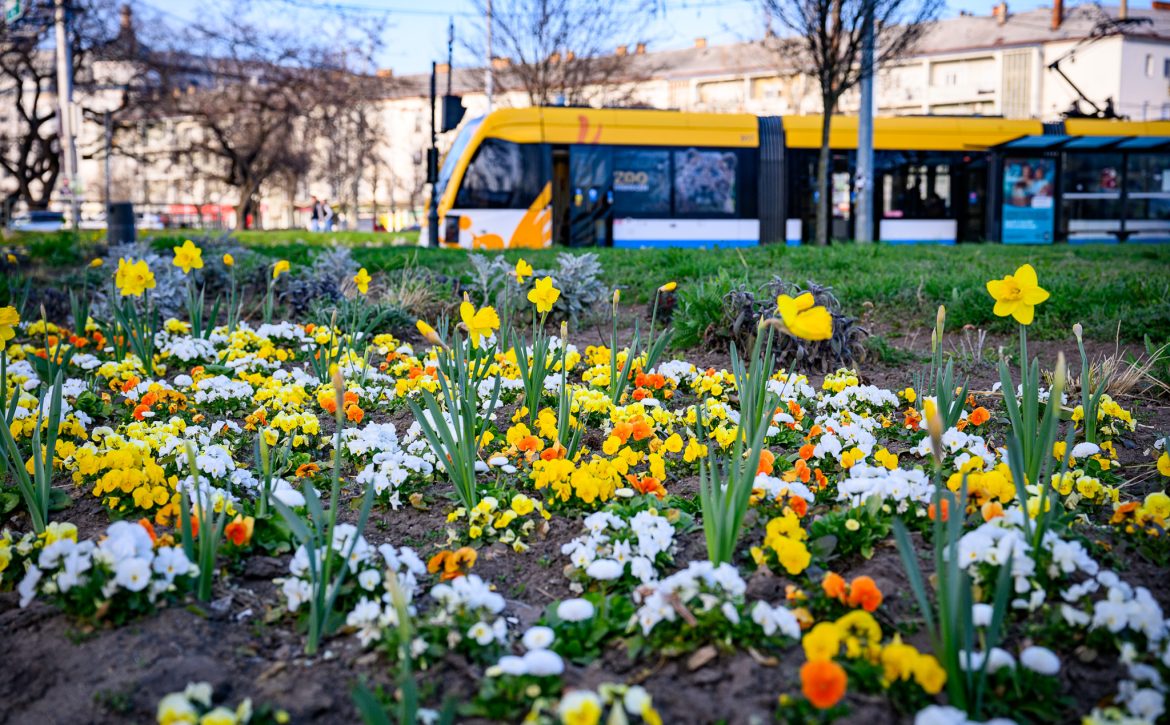 Easter Changes to On-call Services, Parking, Timetables, Opening Hours, and Waste Collection
