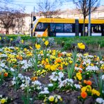 Easter Changes to On-call Services, Parking, Timetables, Opening Hours, and Waste Collection