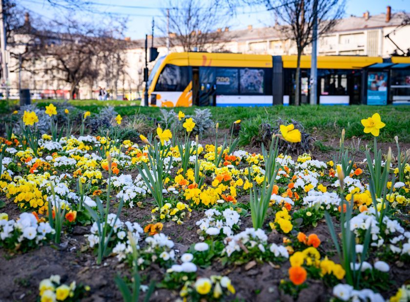 Easter Changes to On-call Services, Parking, Timetables, Opening Hours, and Waste Collection