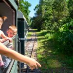 Summer Adventure with Zsuzsi Forest Train