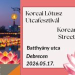Korean Lotus Street Festival