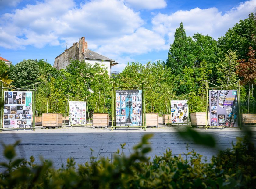Art Week