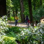 More and More People Opt for Cycling in Debrecen